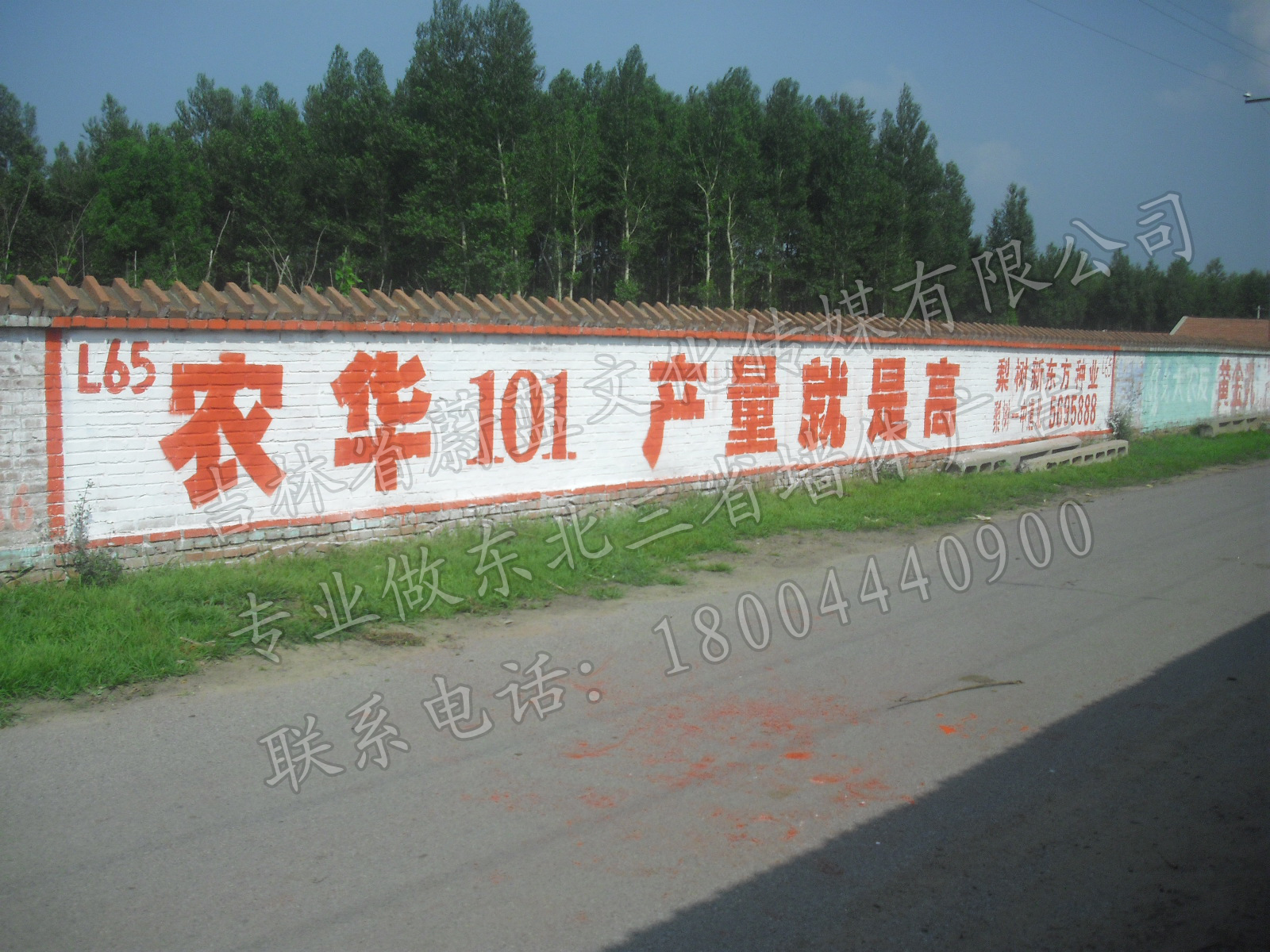 各地密集出台租房新政 ＂购租同权＂成为发展趋